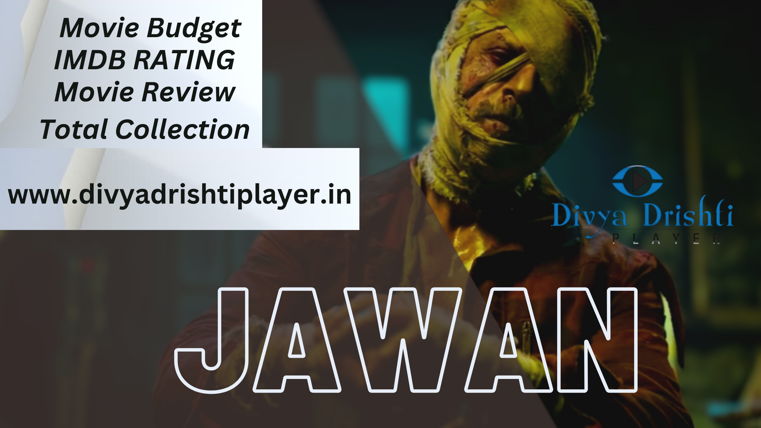 Shah Rukh Khan ‘s Jawan  Movie Box Office Collection , Total Budget , IMDB Rating And More …..